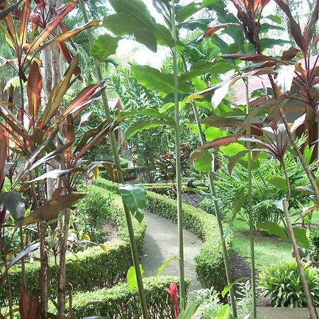 Portalón La Palapa Ecolodge מראה חיצוני תמונה