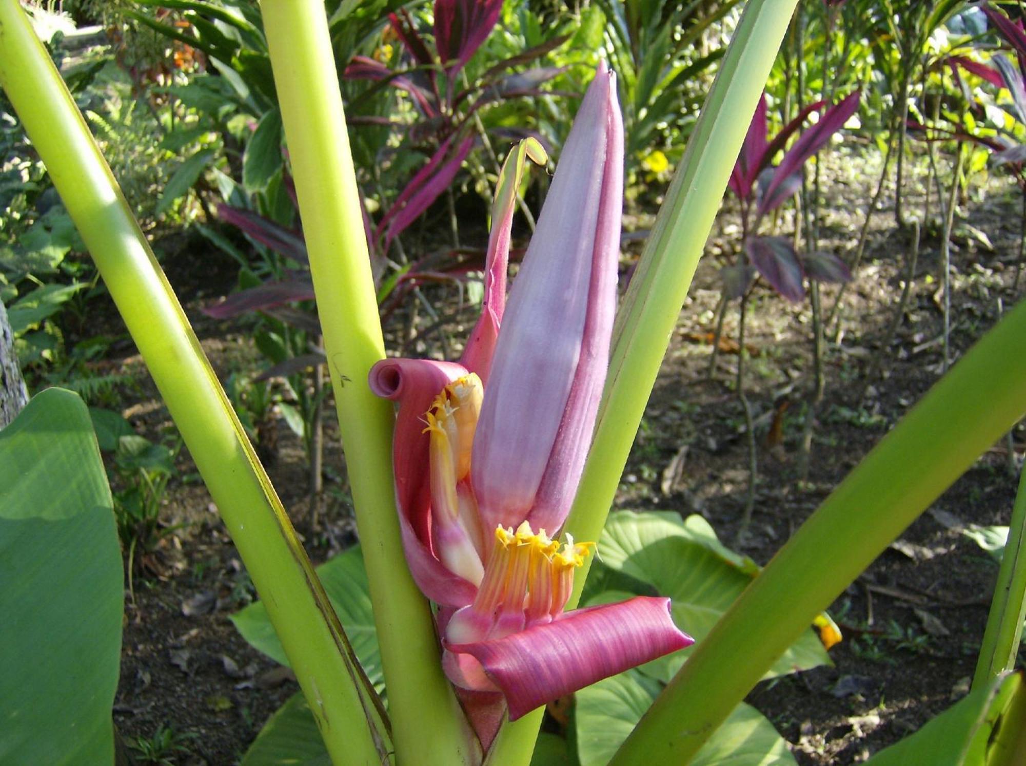 Portalón La Palapa Ecolodge מראה חיצוני תמונה
