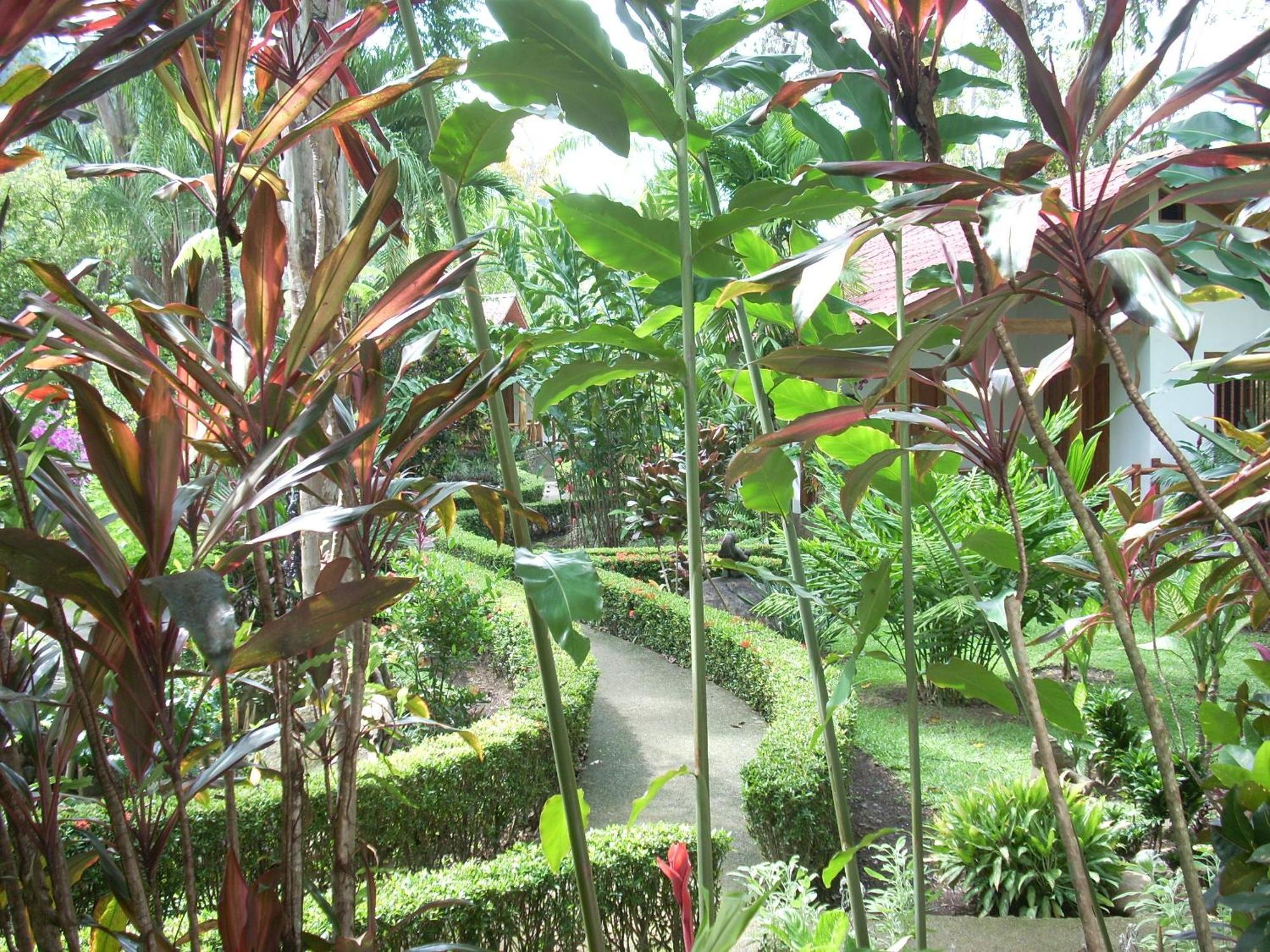 Portalón La Palapa Ecolodge מראה חיצוני תמונה