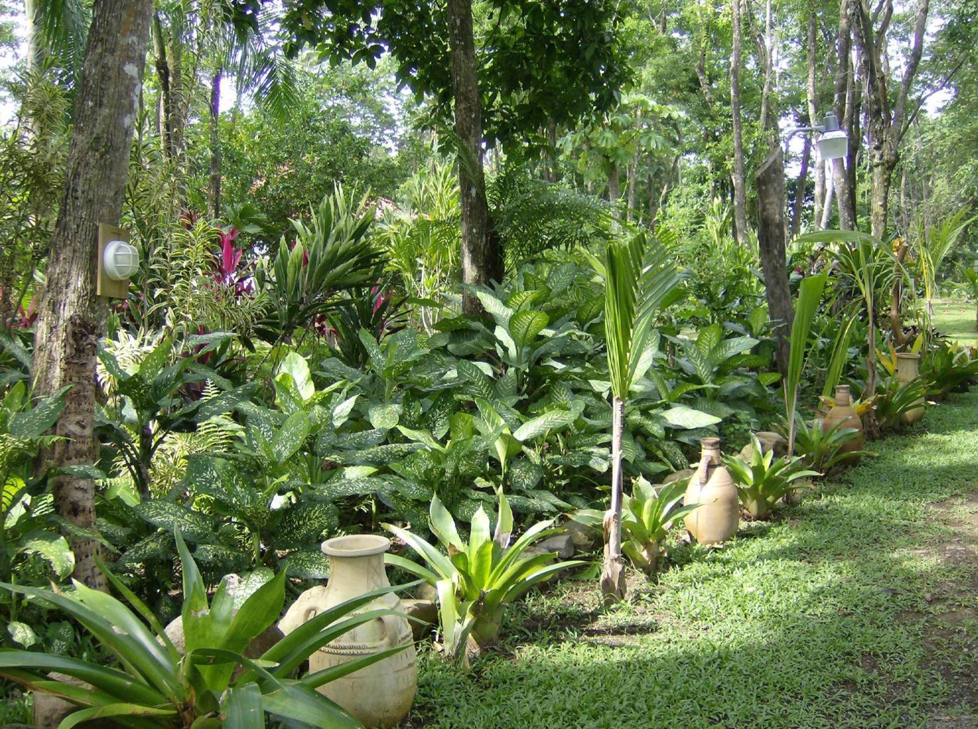 Portalón La Palapa Ecolodge מראה חיצוני תמונה