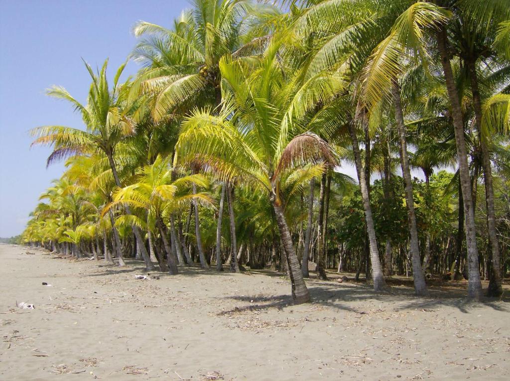 Portalón La Palapa Ecolodge מראה חיצוני תמונה
