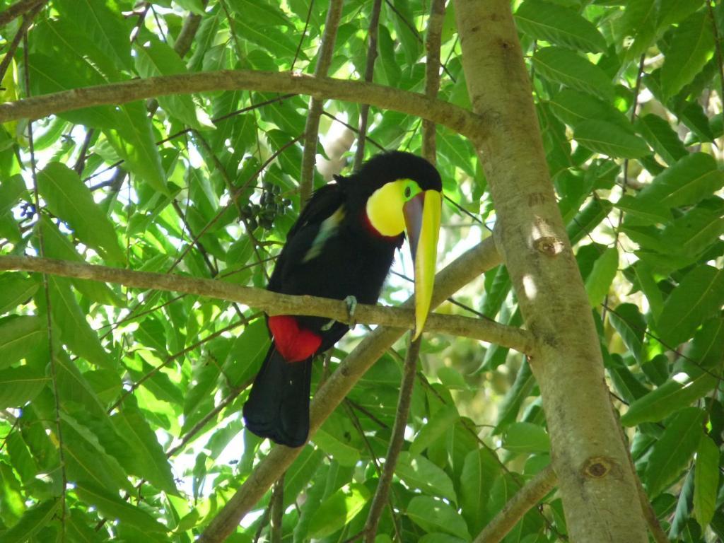 Portalón La Palapa Ecolodge מראה חיצוני תמונה