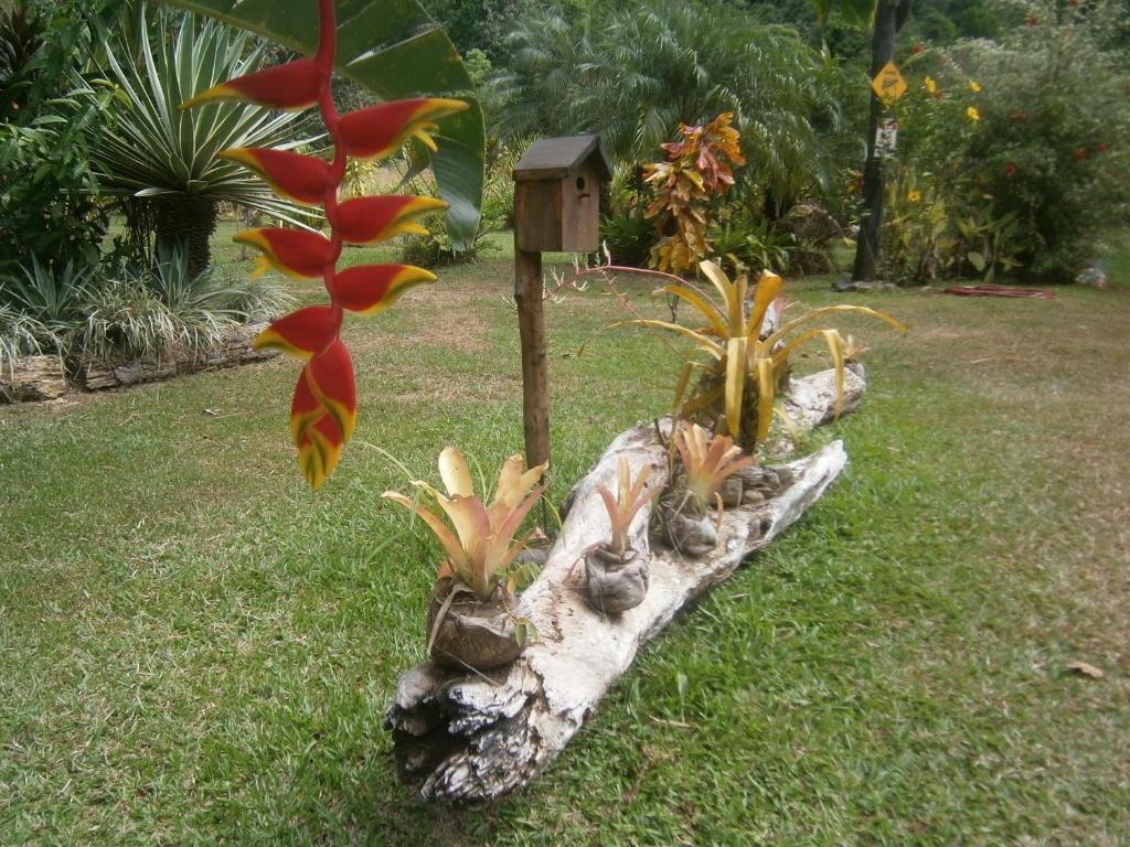 Portalón La Palapa Ecolodge מראה חיצוני תמונה