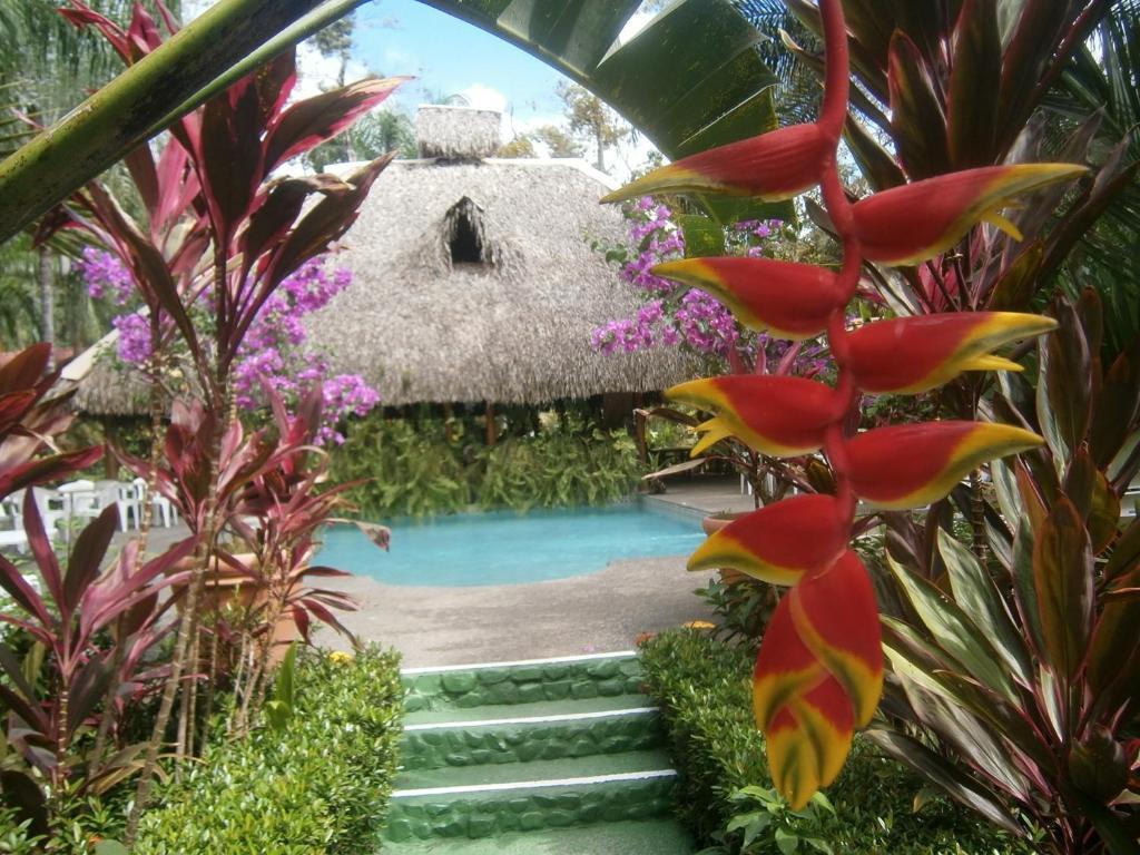 Portalón La Palapa Ecolodge מראה חיצוני תמונה
