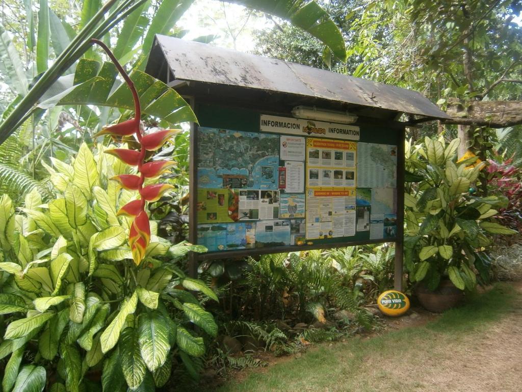 Portalón La Palapa Ecolodge מראה חיצוני תמונה