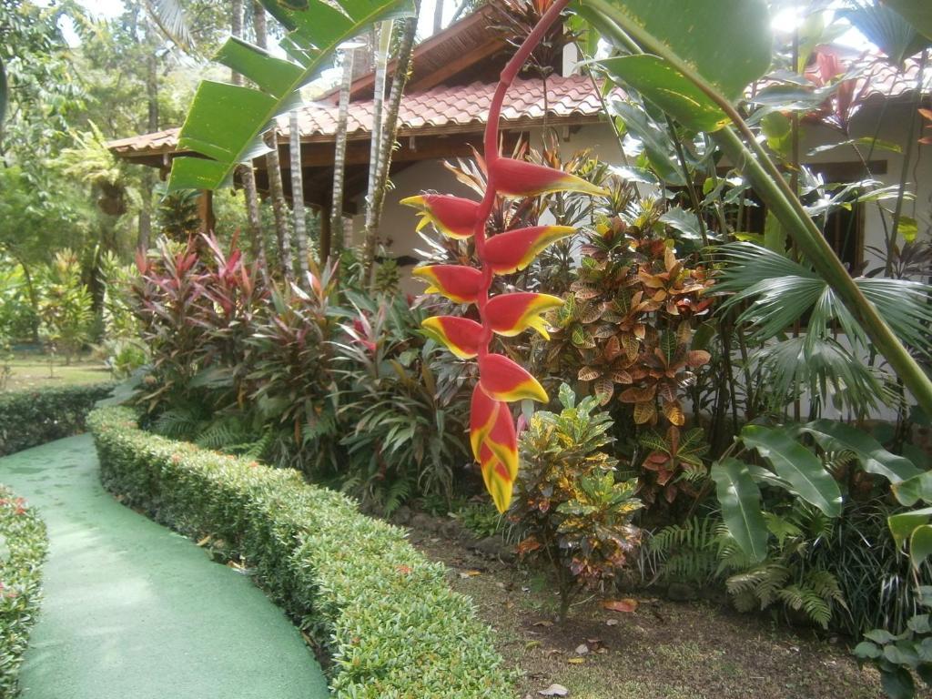 Portalón La Palapa Ecolodge מראה חיצוני תמונה
