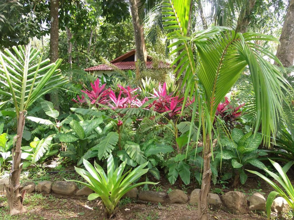 Portalón La Palapa Ecolodge מראה חיצוני תמונה