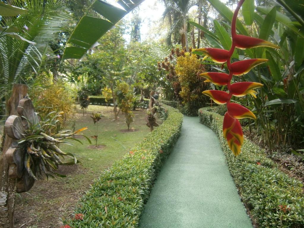 Portalón La Palapa Ecolodge מראה חיצוני תמונה