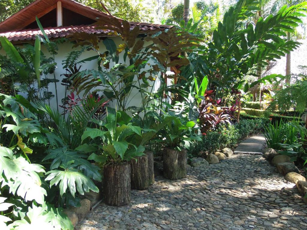 Portalón La Palapa Ecolodge מראה חיצוני תמונה